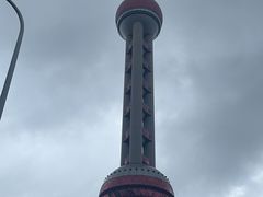 -上海海洋水族馆