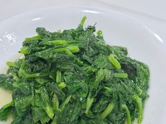 白酒有机豆苗-瑞福园联谊餐室(茂名南路店)