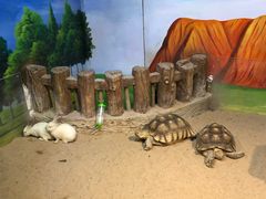 -华夏文旅海洋公园