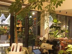 -花神·轻食简餐·咖啡馆·花卉绿植(荷兰花卉小镇店)