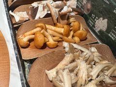 -芸山季·云南山珍菌火锅(南翔印象城MEGA店)