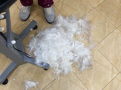 -美联众合动物医院·24h京西诊疗中心