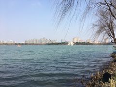 -暨阳湖生态园