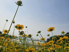 -宁波松兰山滨海旅游度假区