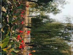 -绿堤公园