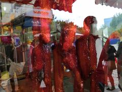 -黄连大头华烧鹅店(大良店)