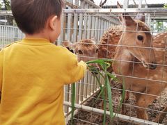 -迪茵湖田家舍生态农场