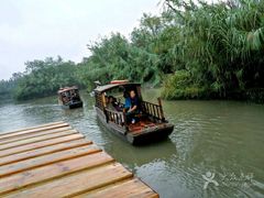 -溱湖国家湿地公园