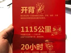 -洪福龙虾