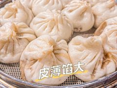 猪肉大葱包子-石饮红星包子(中山路店)