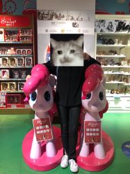 点击看大图 -Hamleys哈姆雷斯(东方福来德店)