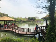 -圩墩遗址公园
