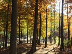 -宝界山林公园