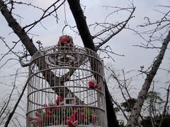 -美兰湖景区