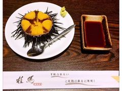 -桂马·日本料理·海胆·海鲜饭·酒场(民主广场店)