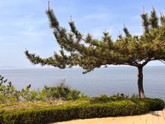 -养马岛旅游度假区