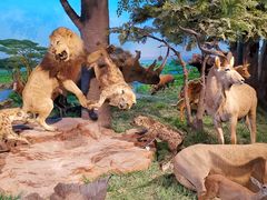 -国家自然博物馆