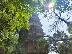-宝通禅寺