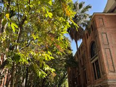 -中山大学（南校区）-英东游泳场