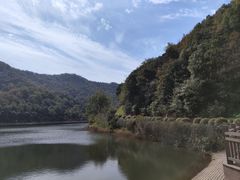 -桃花岭景区