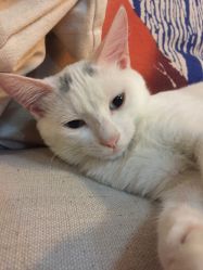 -尚美日式美甲美睫工作室