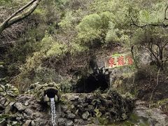 -宁波市保国寺古建筑博物馆