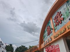 -长洲岛
