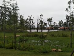 -上海长兴岛郊野公园