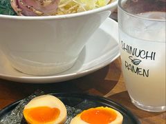 -真打拉面·日式拉面新流派(体育西横街店)