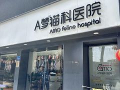 -御宝贝·A梦猫科宠物医院(国际猫友好医院)