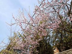 -哈尔滨师范大学(松北校区)