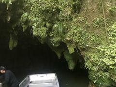 -怀托摩萤火虫洞