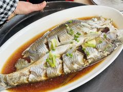 -晓琦农家菜馆·地道农家菜