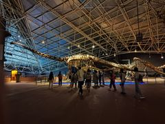 -世界恐龙谷景区