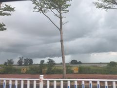 -北海金海湾红树林生态旅游区