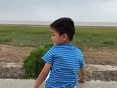 -南汇嘴观海公园