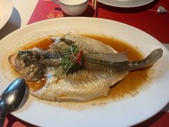 -芙蓉堂(武汉天地店)