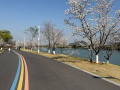 -羊山湖公园