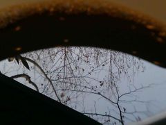 -RUMORS COFFEE ROASTERY鲁马滋咖啡(湖南路店)