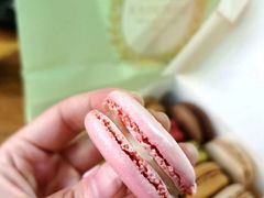 玫瑰马卡龙-ladurée(戴高乐机场T 2F店)