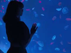 -多彩贵州城极地海洋世界