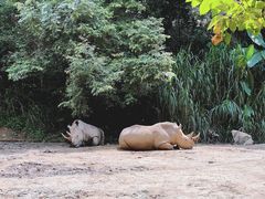 -普洱太阳河森林公园