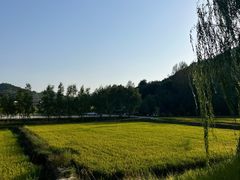 -南泥湾风景区