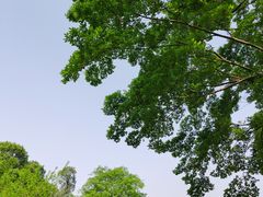 -秀丽东方