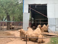 -祥源·阜阳生态乐园