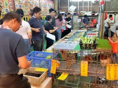点菜海鲜池-鸿达渔港
