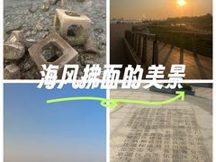 -东疆建设开发纪念公园