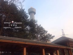 -帽儿山国家森林公园