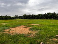 -天下先生态园农庄CS团建露营地(海鸥岛店)