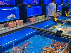 水产区-万宝海鲜舫(劳动公园店)